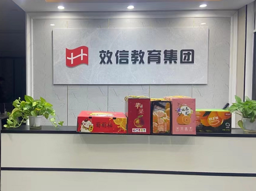 武漢效信教育咨詢 為您的夢想保駕護(hù)航